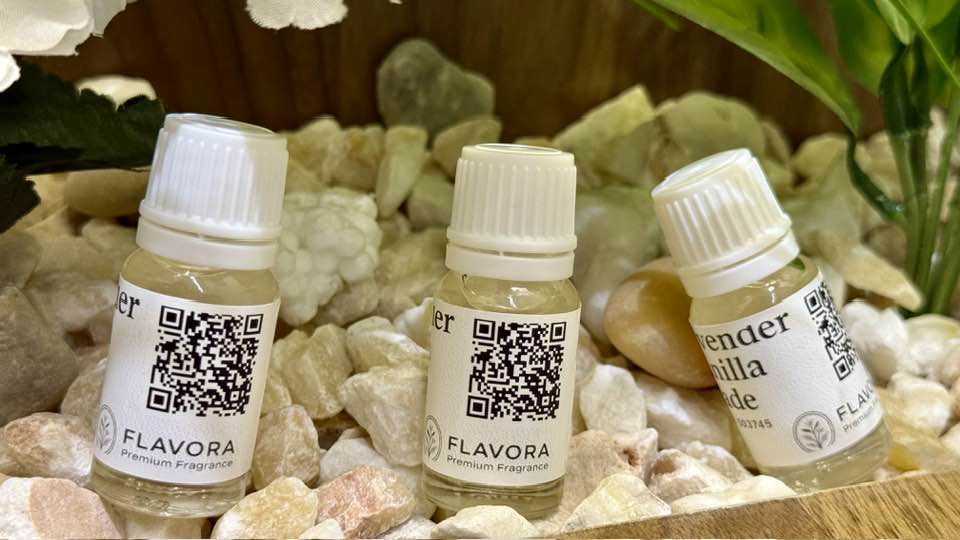 518234465 122117509010912737 4625014964946611518 n